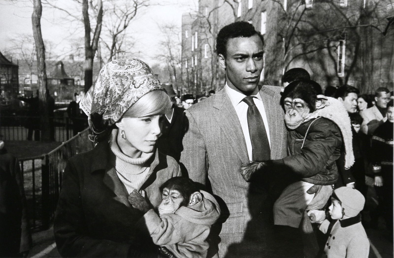 Garry Winogrand: Central Park Zoo.New York City, 1967: Artist: Garry Winogrand Title: Central Park Zoo.New York City, 1967 Date: 2008 Medium: High Quality Photo Print with Copyright Estate of Garry Winogrand Print Origin: Printed in Italy - Portfolio Edit