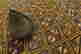 item-130196103=9