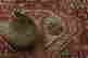 item-130196109=5