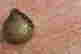item-130196995=10