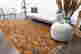 item-130197071=5