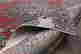 item-130197094=8