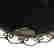 item-130213836=5