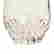 item-130457713=3