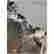 item-130526063=11