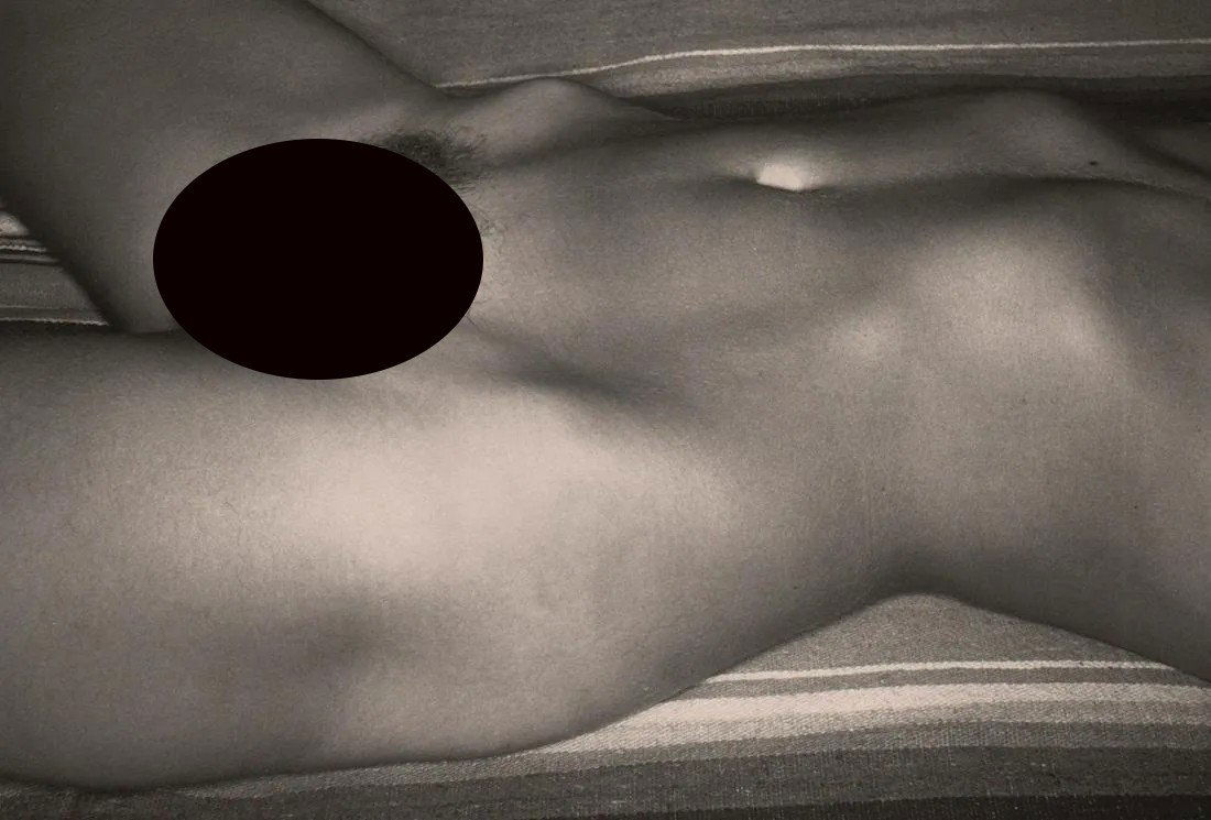 LEE FRIEDLANDER - Nude: Artist: LEE FRIEDLANDER Print Title: Nude Medium: Tritone Photoengraving Printed 1990â€™s in the UK Image size (inches) approx. 7 x 9.5” Lee Friedlander is an American photographer and arti