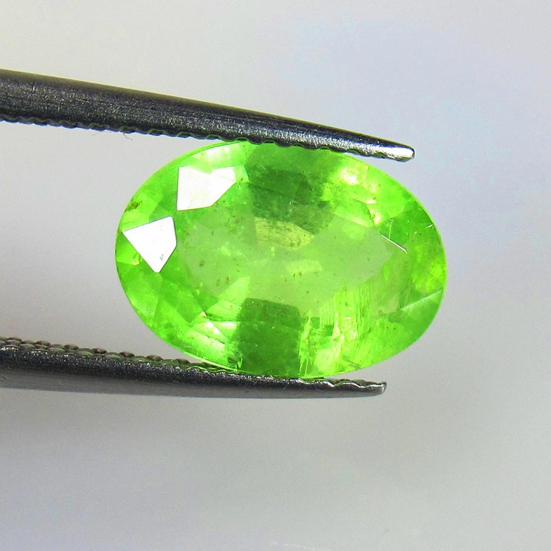 2.40 Ctw Natural Tsavorite Kyanite Oval Cut: No Reserve! Title: 2.40 Ctw Natural Tsavorite Kyanite Oval Cut Stone Clarity: VVS Gemstone: Kyanite Carat/Weights: 2.4 Size/Dimension: 10.30 x 7.30 x 4.20 mm Additional Information: Very Good Quality