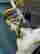 item-130609712=3
