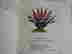 item-130610529=4