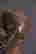 item-130691103=6