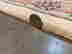 item-130789732=12