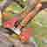 item-130790584=4