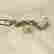 item-130794440=4
