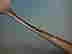 item-130826690=3