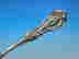 item-130826811=3
