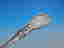 item-130826811=7