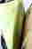 item-130855042=12