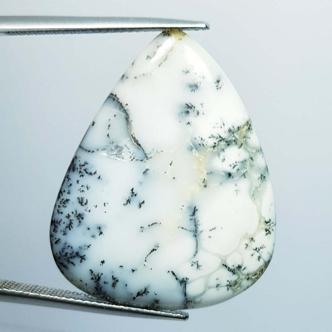 19.85 ct Natural Dendrite Opal (1 of 3)