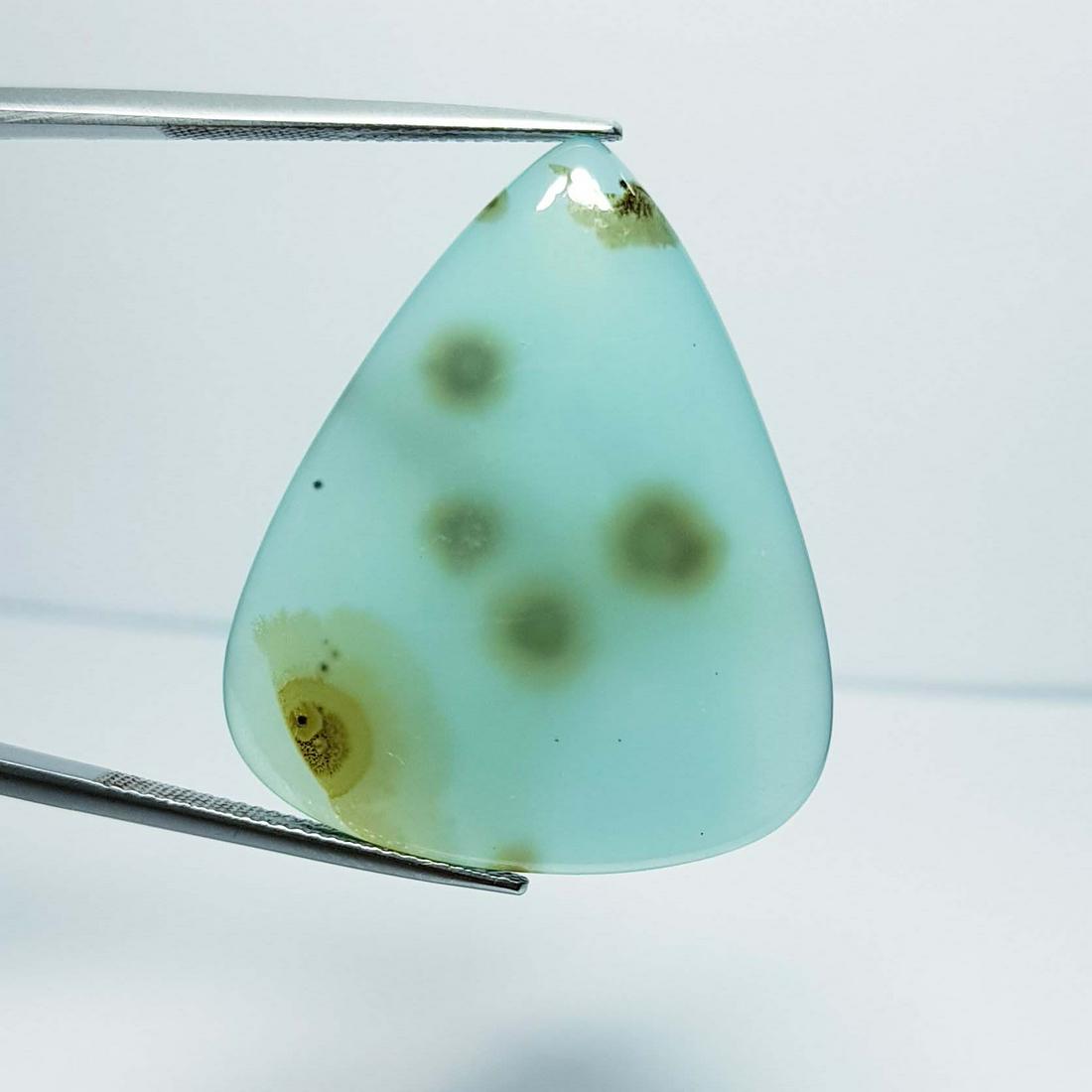 44.46 ct Natural Soloar Fossile (1 of 3)