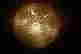 item-130913720=7