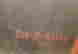 item-130925911=7
