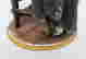 item-130929373=4