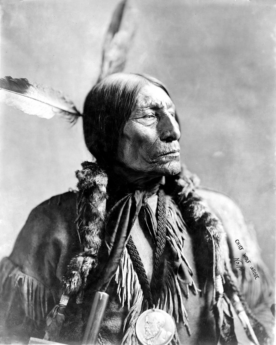 1904, WOLF ROBE, SOUTHERN CHEYENNE: Title: 1904, WOLF ROBE, SOUTHERN CHEYENNE Artist/Source: H.W. Wyman Medium: CONTEMPORARY PHOTOLITHOGRAPH Date/Period: 1904 Dimension [INCHES]: 10 x 8 Origin: Colorado Springs, Colorado Annotations: RE