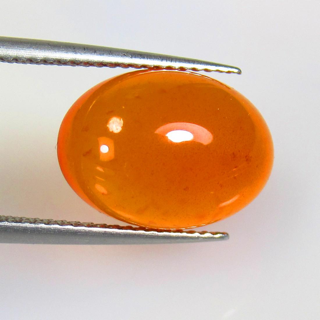 7.11 Ctw Natural Orange Carnelian Oval Cab: No Reserve! Title: 7.11 Ctw Natural Orange Carnelian Oval Cab Stone Clarity: Semi-Transparent Gemstone: Carnelian Carat Weights: 7.11 Size/Dimensions: 14.50 x 10.40 x 6.20 mm Additional Info: Excellen