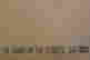 item-130971313=7