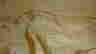 item-130999952=5