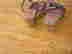 item-131000040=4