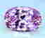 item-131051669=5