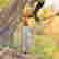 item-131058474=3