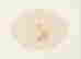 item-131122791=2