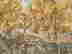 item-131281469=3