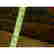 item-131282009=11