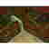 item-131282009=6