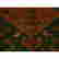 item-131282009=8
