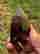 item-131345604=2