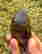 item-131345604=3