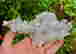 item-131345646=2