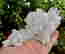 item-131345646=3