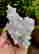 item-131345646=4