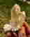 item-131345716=2