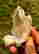 item-131345716=4