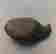 item-131345763=6