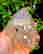 item-131345784=6