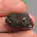 item-131345792=5