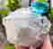 item-131345911=2