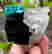 item-131345911=5